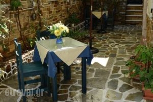Studios Alsos_lowest prices_in_Hotel_Cyclades Islands_Naxos_Naxos chora