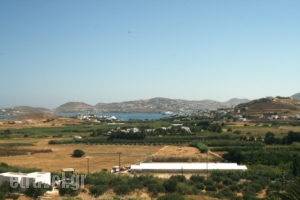 Mirsini Studios_best deals_Apartment_Cyclades Islands_Paros_Paros Chora