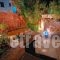 Guesthouse Perdikouli_lowest prices_in_Room_Cyclades Islands_Paros_Alyki