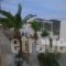 Venikouas_holidays_in_Hotel_Cyclades Islands_Sifnos_Platys Gialos
