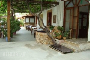 Lefka_holidays_in_Hotel_Crete_Chania_Platanias