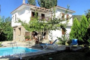 El Villa Rooms_accommodation_in_Villa_Central Greece_Evia_Istiea