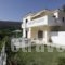 Villa Platanaki_holidays_in_Villa_Aegean Islands_Samos_Pythagorio