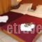 Hotel Lito_lowest prices_in_Hotel_Macedonia_Pieria_Paralia Katerinis