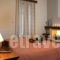 Ef Studios & Suites_best prices_in_Apartment_Central Greece_Viotia_Arachova
