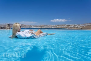 Mykonos No5_best deals_Room_Cyclades Islands_Mykonos_Mykonos Chora
