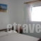 Joanna's Apartments_lowest prices_in_Apartment_Cyclades Islands_Naxos_Naxos Chora