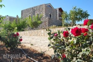 Arodamos Traditional Hostels_lowest prices_in_Room_Crete_Heraklion_Kroussonas