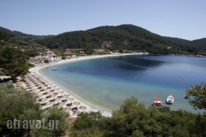 Rigas Hotel_accommodation_in_Hotel_Sporades Islands_Skopelos_Skopelos Chora