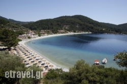 Skopelos Holidays Hotel & Spa hollidays