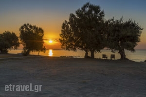 Olympia Mare_holidays_in_Apartment_Dodekanessos Islands_Kos_Kos Rest Areas
