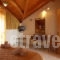 Panorama Studios_lowest prices_in_Apartment_Ionian Islands_Zakinthos_Zakinthos Rest Areas
