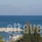 Rooms Nancy_best deals_Room_Thessaly_Magnesia_Pilio Area