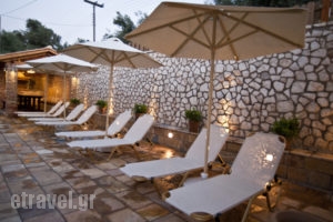 Villa Vita Holidays Apartments & Studios_accommodation_in_Villa_Ionian Islands_Lefkada_Lefkada Chora