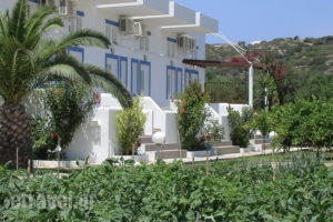 Nefeli Apartments_holidays_in_Apartment_Dodekanessos Islands_Kos_Kefalos