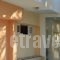 Rooms Nancy_lowest prices_in_Room_Thessaly_Magnesia_Pilio Area