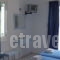 Alvi Studios_best deals_Apartment_Piraeus Islands - Trizonia_Aigina_Perdika