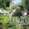 Villa Nikos Kamari_best prices_in_Villa_Cyclades Islands_Sandorini_kamari