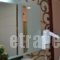 Krikonis Suites Hotel_lowest prices_in_Hotel_Epirus_Ioannina_Dodoni