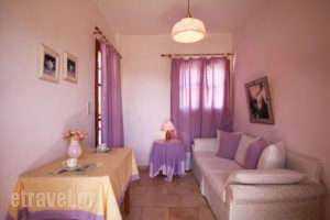 Irene Studios_holidays_in_Apartment_Sporades Islands_Skopelos_Skopelos Chora