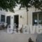 Sofi's Suites_best deals_Room_Cyclades Islands_Andros_Andros Chora