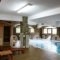 Vasilitsa Spa Resort_holidays_in_Hotel_Epirus_Ioannina_Fraggades