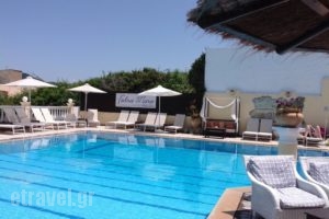 Fedra Mare_accommodation_in_Apartment_Ionian Islands_Corfu_Aghios Stefanos