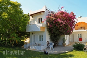 Ampavris_accommodation_in_Apartment_Dodekanessos Islands_Kos_Kos Chora