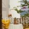 Studios Athina_best prices_in_Hotel_Cyclades Islands_Paros_Alyki