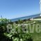 Kionia_best deals_Apartment_Cyclades Islands_Tinos_Kionia