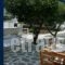 Yiannis Studios_accommodation_in_Hotel_Cyclades Islands_Paros_Piso Livadi