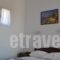 Joanna Apartments_best deals_Apartment_Cyclades Islands_Naxos_Naxos Chora