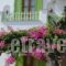 Elena Studios_accommodation_in_Hotel_Cyclades Islands_Paros_Piso Livadi