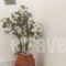 Andriani'S Guest House_best prices_in_Hotel_Cyclades Islands_Mykonos_Mykonos ora