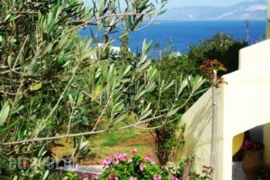 Vistamare Lodge B&B_holidays_in_Hotel_Crete_Lasithi_Aghios Nikolaos