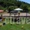 Kastra Apartements_best deals_Room_Thessaly_Larisa_Agia