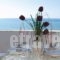 Eva Rooms_accommodation_in_Room_Crete_Lasithi_Ierapetra