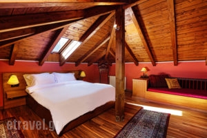 Valia Nostra_best deals_Hotel_Macedonia_Grevena_Smixi