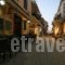 Artemis Rooms_accommodation_in_Room_Crete_Chania_Chania City