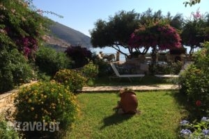 Waterside_best prices_in_Apartment_Ionian Islands_Kefalonia_Aghia Efimia