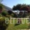 Waterside_best prices_in_Apartment_Ionian Islands_Kefalonia_Aghia Efimia