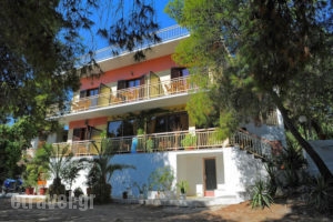 The Delfini_best prices_in_Hotel_Piraeus Islands - Trizonia_Aigina_Agia Marina