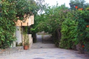 Argyro Apartments And Studios_travel_packages_in_Crete_Lasithi_Aghios Nikolaos