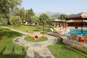 Ariadni Hotel Bungalows_best deals_Hotel_Aegean Islands_Thasos_Thasos Rest Areas