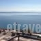 Yria Hotel_best deals_Hotel_Ionian Islands_Zakinthos_Zakinthos Chora