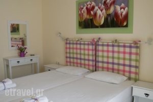 Akrogiali Guesthouse_accommodation_in_Hotel_Piraeus Islands - Trizonia_Agistri_Agistri Rest Areas