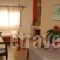 Patras Apartments_holidays_in_Apartment_Aegean Islands_Ikaria_Ikaria Chora