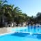 Anthemoessa Villas_best deals_Villa_Aegean Islands_Samos_MarathoKambos