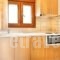 Katerina-Maria Studios & Apartments_best prices_in_Apartment_Macedonia_Halkidiki_Chalkidiki Area
