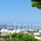 Narkissos Studios_accommodation_in_Hotel_Cyclades Islands_Antiparos_Antiparos Rest Areas